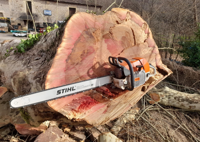 Tronçonneuse sur tronc après démontage d’arbre Intervention d’élagage et de démontage réalisée par la SARL Servant et Fils à Touzac.