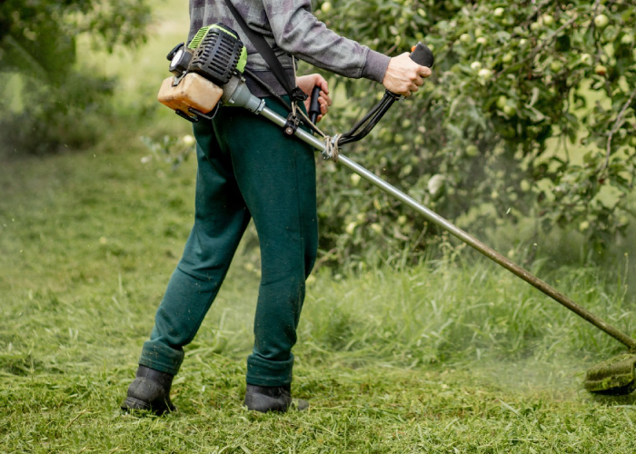 Débroussaillage d’un terrain avec coupe-bordure thermique Opération de débroussaillage réalisée par la SARL Servant et Fils à Touzac, entretien d’un espace vert avec débroussailleuse professionnelle