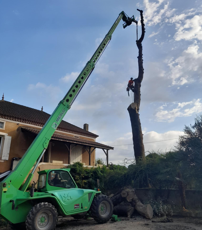 Intervention d’élagage et de démontage d’arbre par la SARL Servant et Fils, travail sécurisé avec nacelle et tronçonneuse